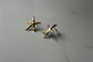Star Of The Sea Earrings