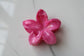 Flower Claw Clip