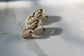Golden Pearl Earrings